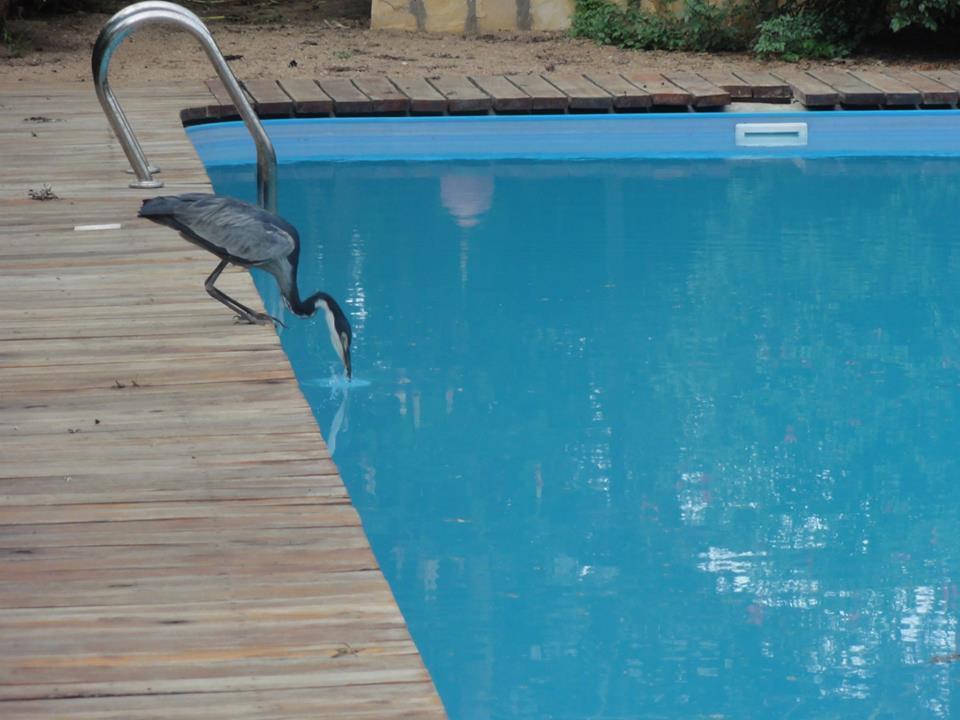 Meru House Lekisilai Arusha Dış mekan fotoğraf